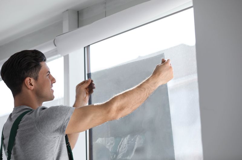 Privacy Window Tinting